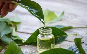 Tea Tree Oil In Skincare