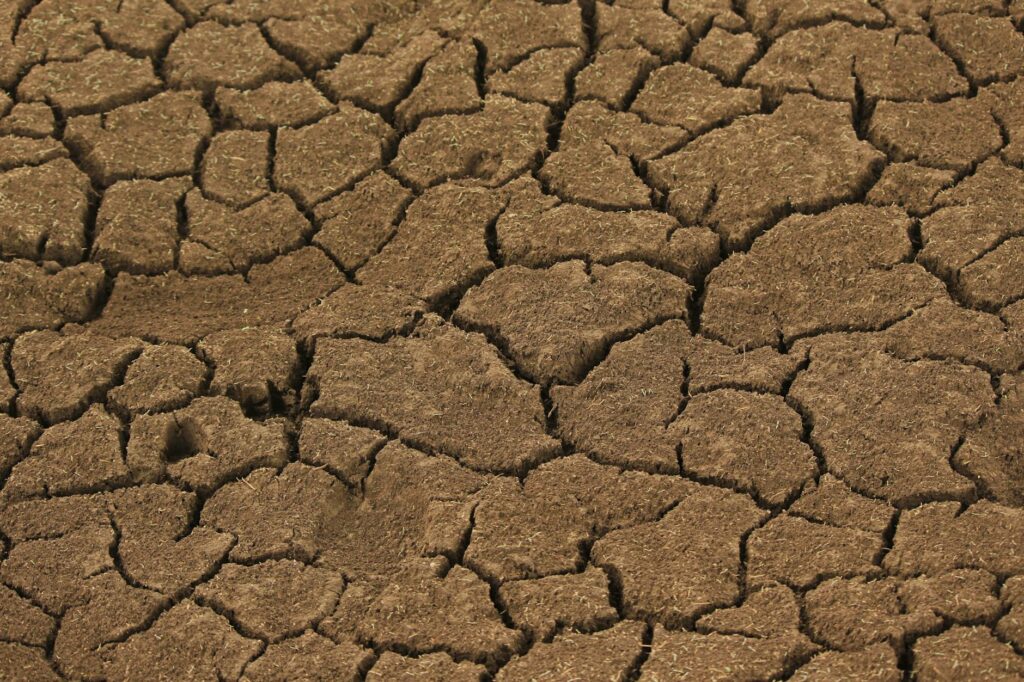 Can Dehydration Make Acne Worse on Face - Featured image