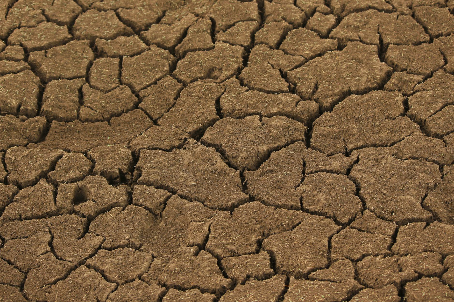 Can Dehydration Make Acne Worse on Face - Featured image