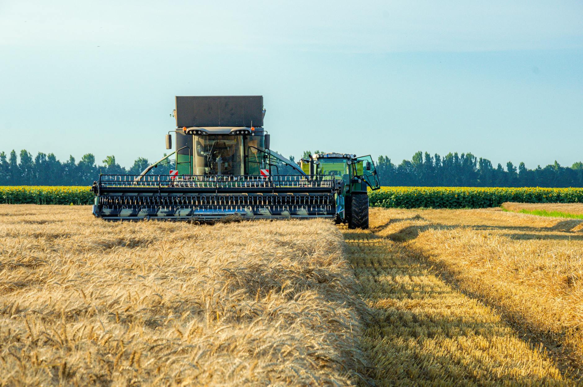 Combining Aloe Vera with Other Acne Treatments