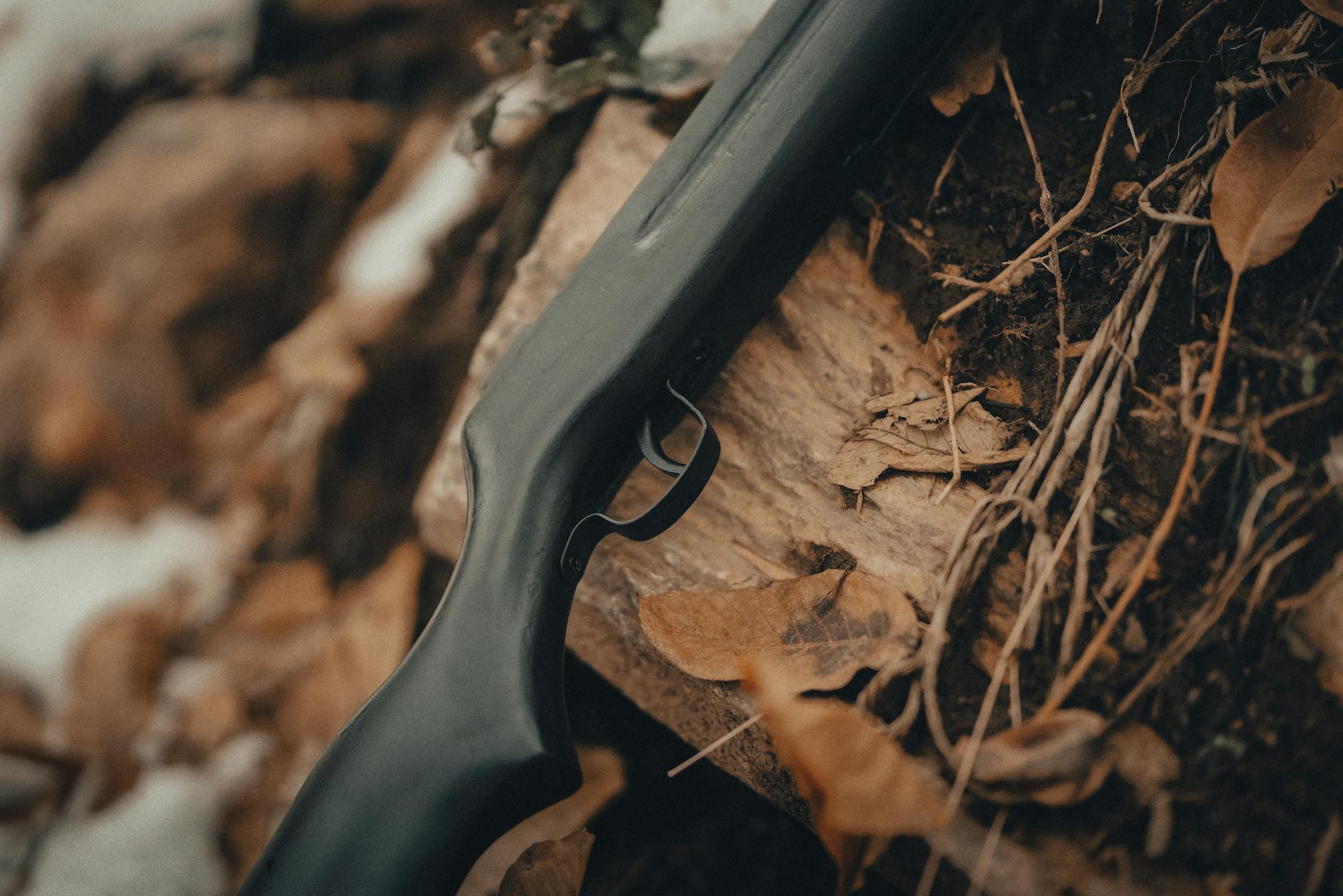 How Does Cortisol Trigger Acne at the Cellular Level?