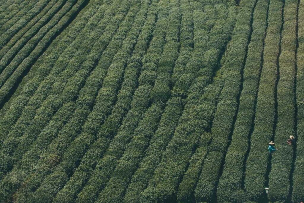 How to Treat Acne Caused by Hair Products - Featured image