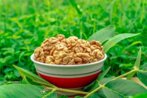 How to Use Alpha Hydroxy Acids for Acne - Featured image