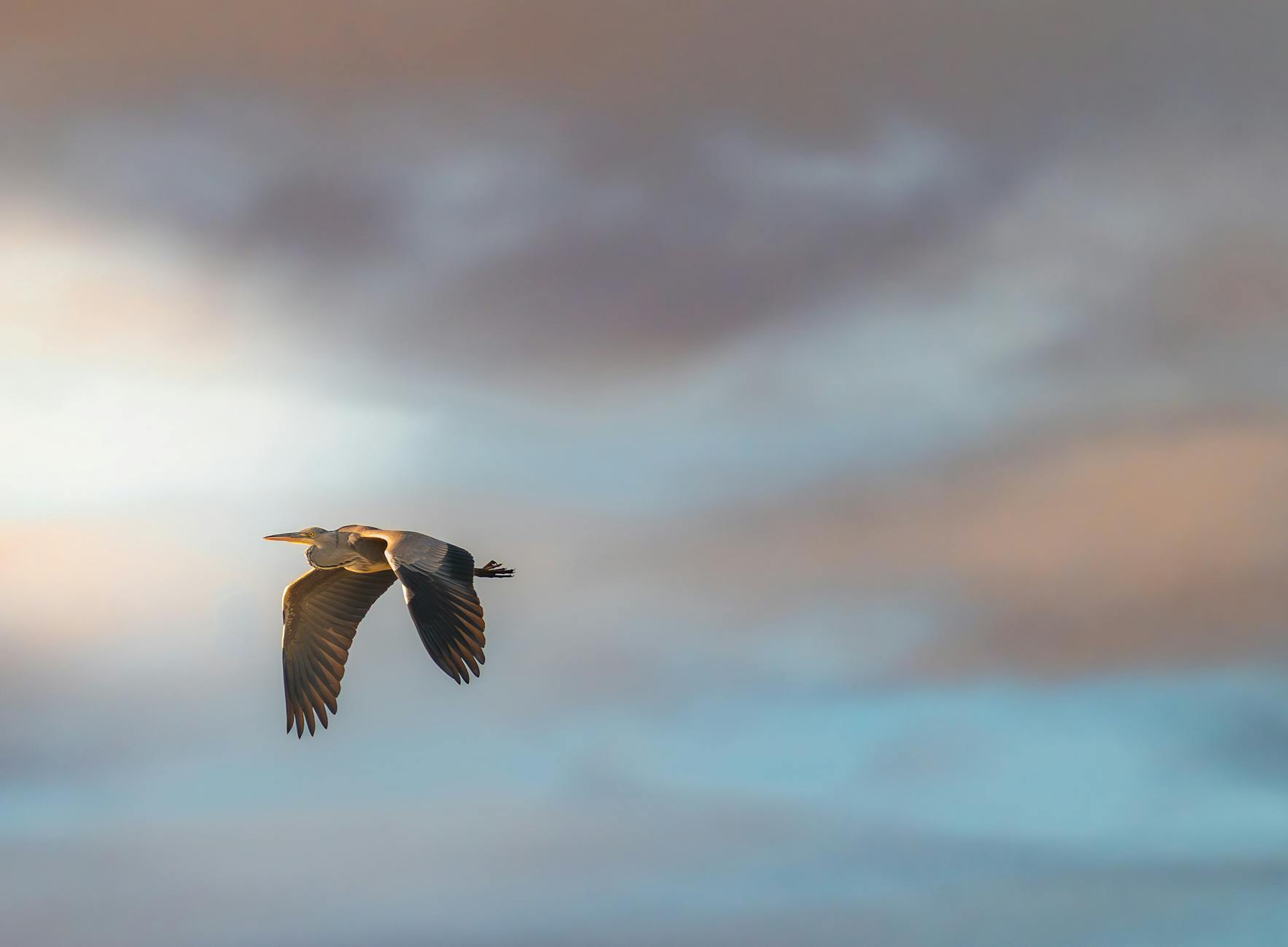 The Role of Mineral Foundations in Acne Management