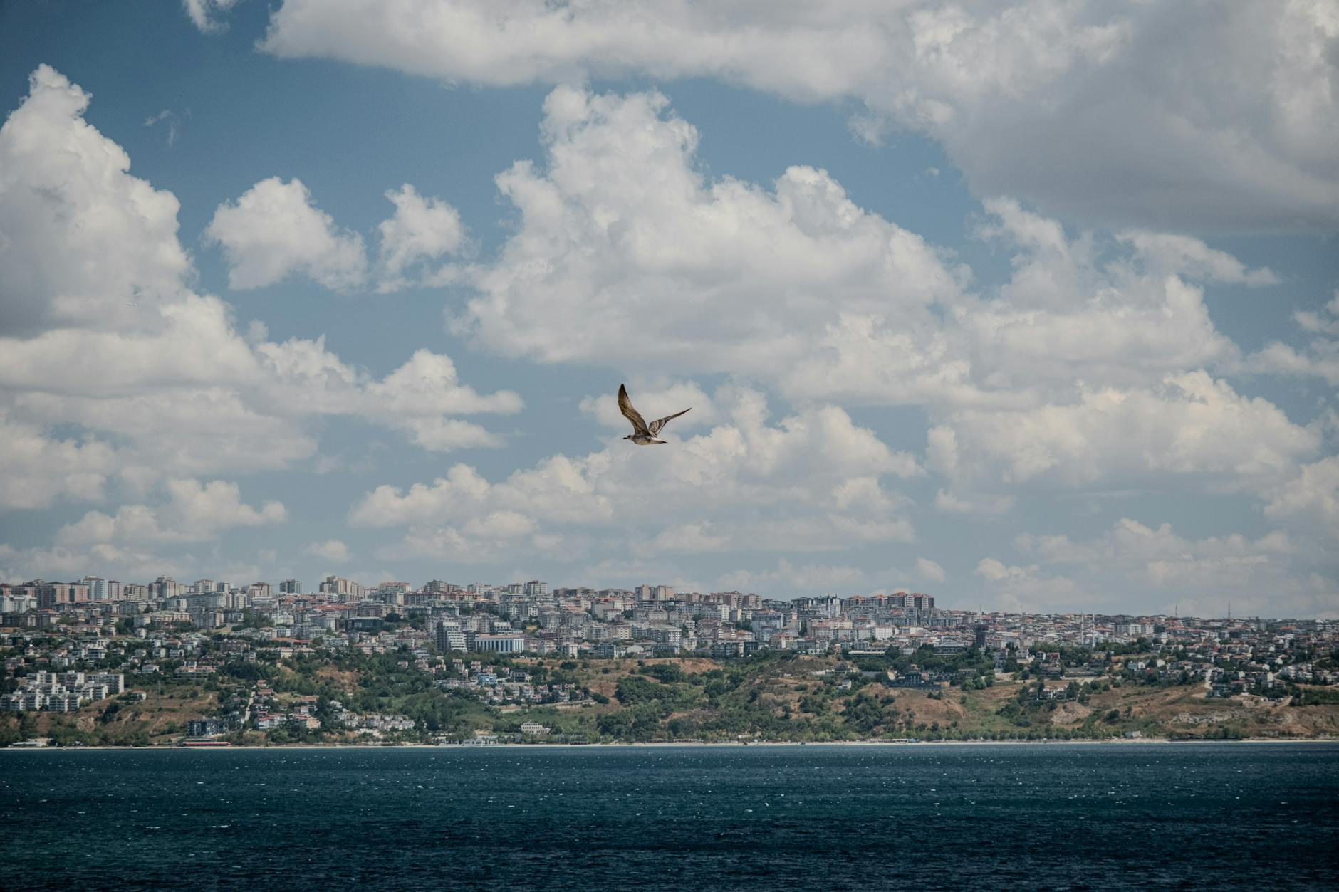 The Role of Sugar and Dairy in Caffeinated Beverages and Acne