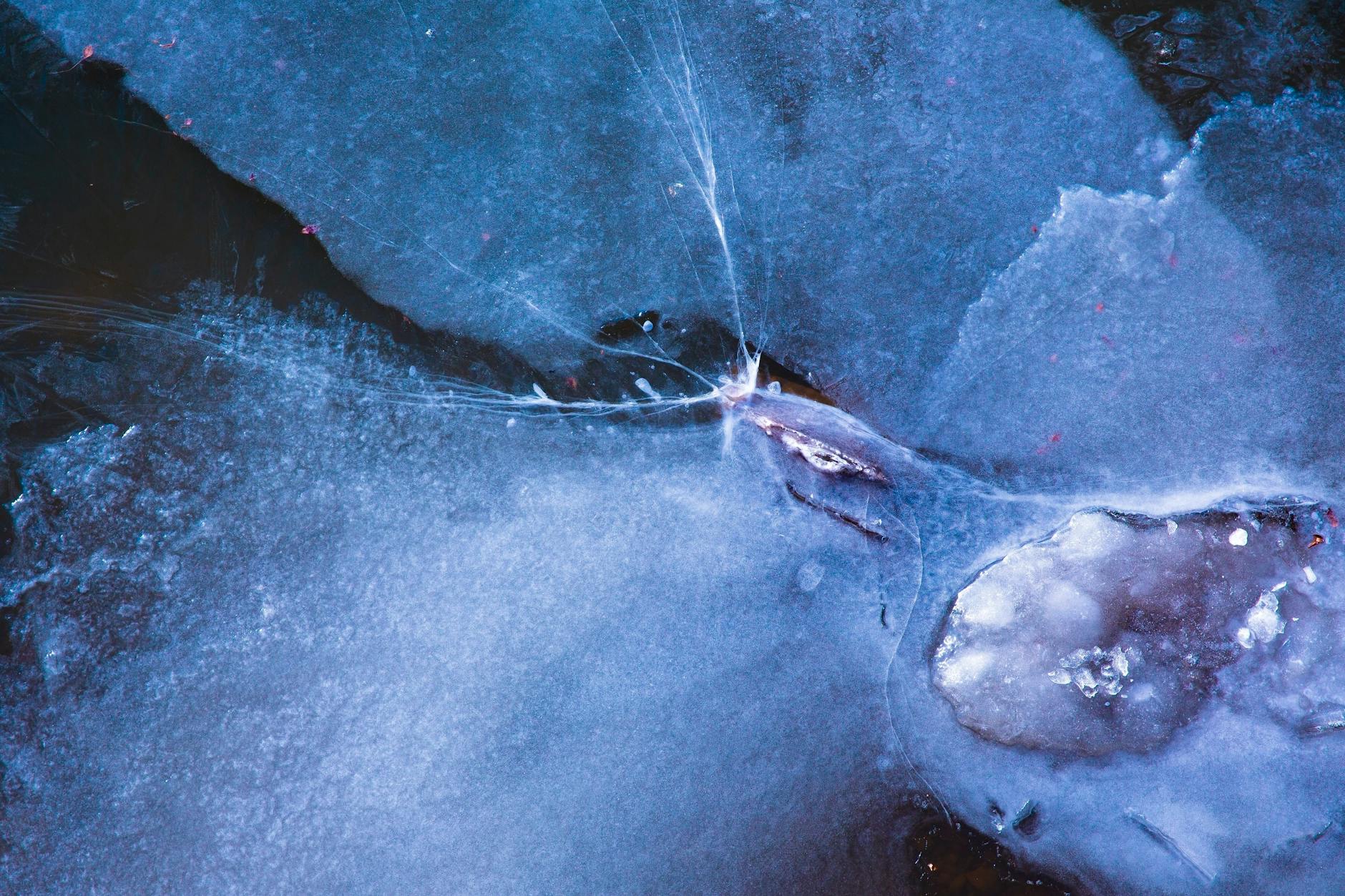 What Are the Most Effective Calming Ingredients for Acne-Prone Skin?