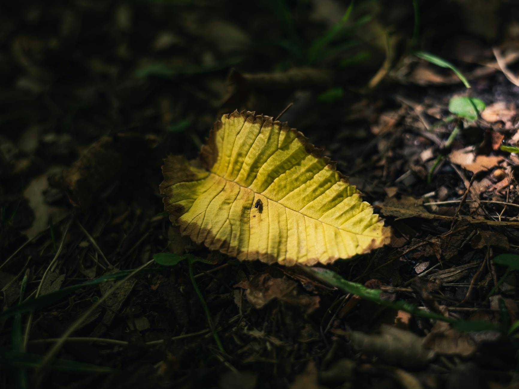 Is 2 Percent Retinol Too Strong for Acne Beginners?