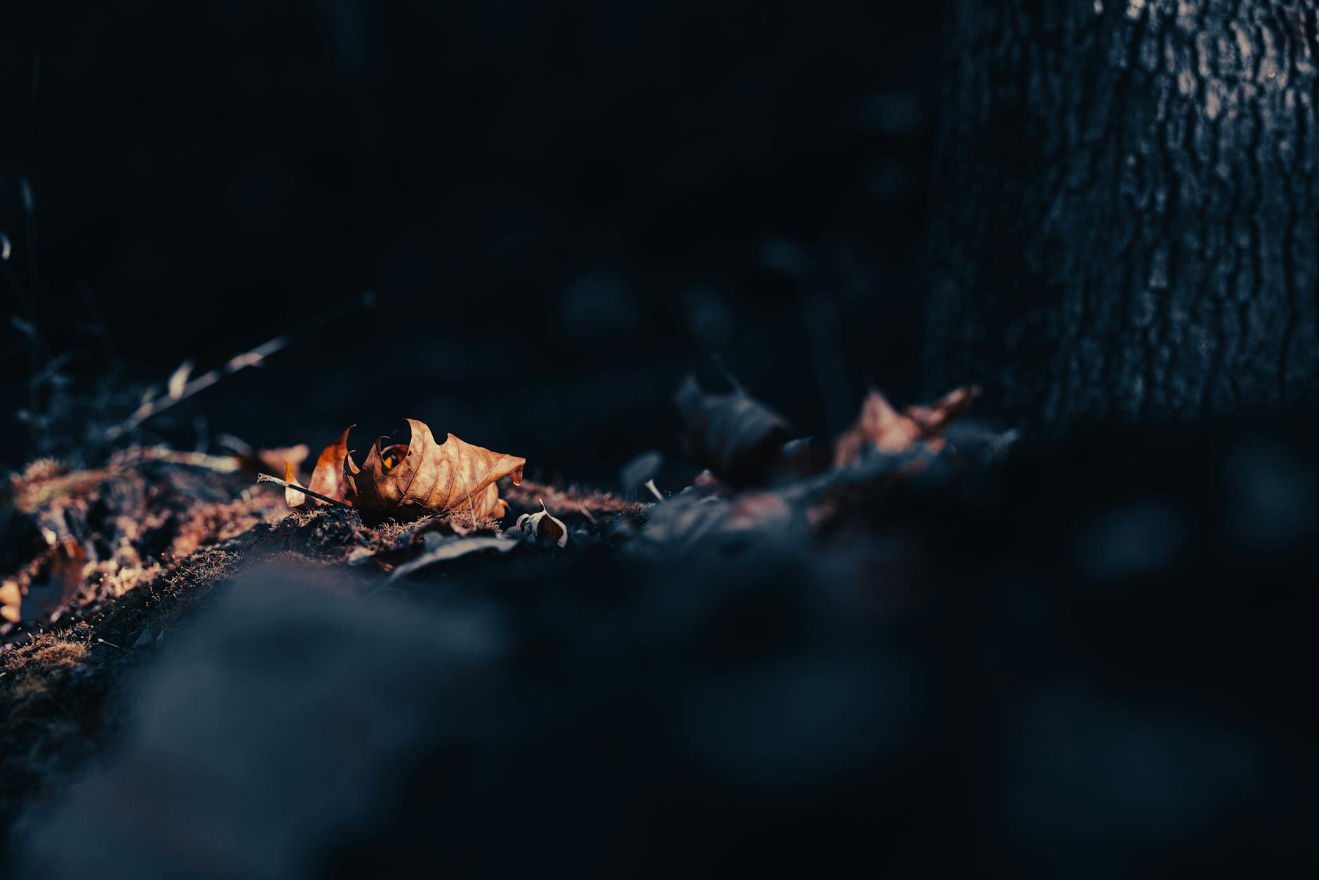 PIH in Darker Skin Tones — Does Accutane Help More or Differently?