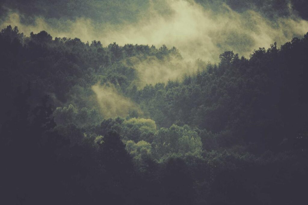 $90 for a Month of Winlevi Cream...First Topical Antiandrogen FDA-Approved for Acne in 2020 - Featured image