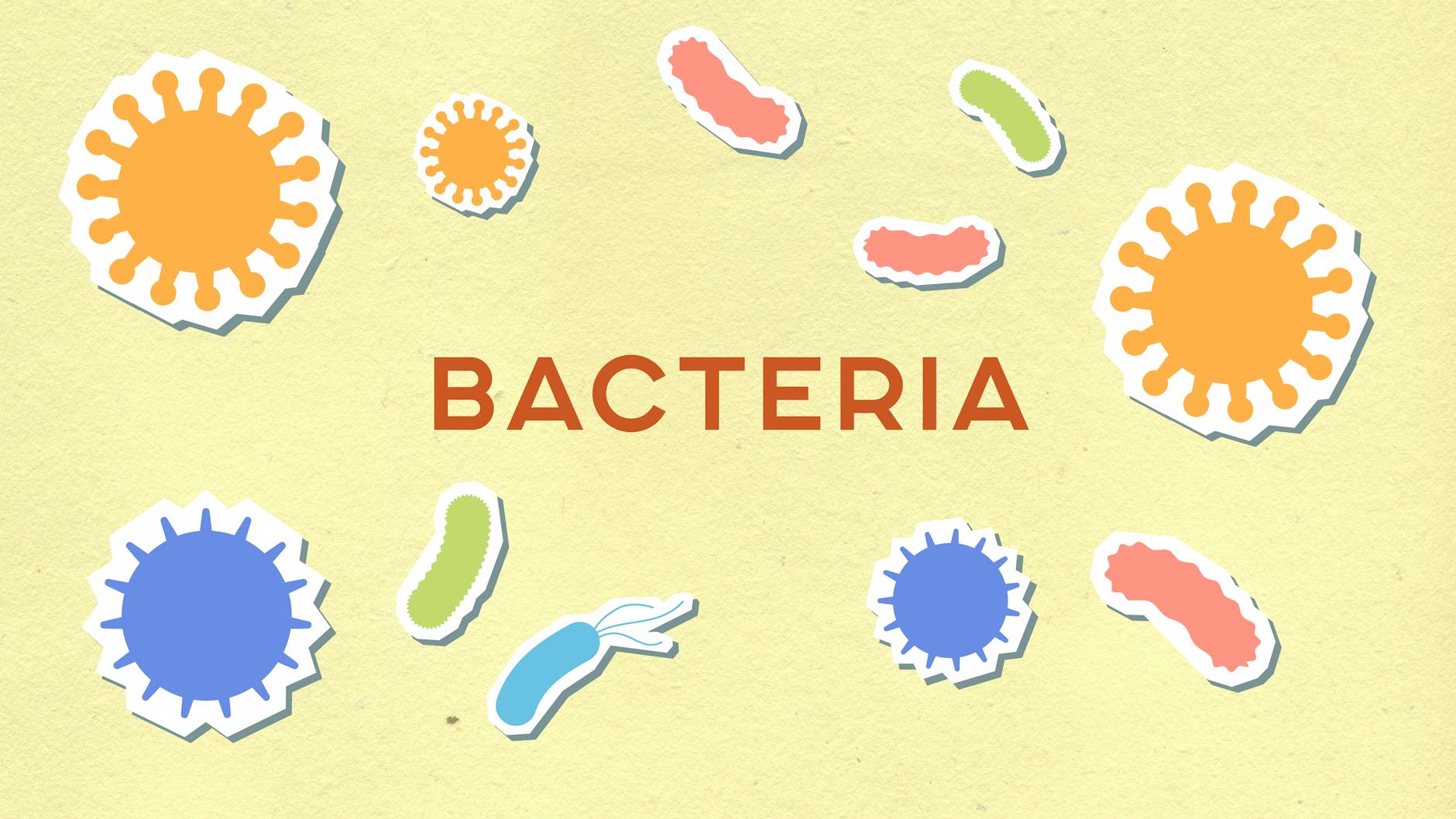 Bacterial Infection and the Role of Cutibacterium acnes