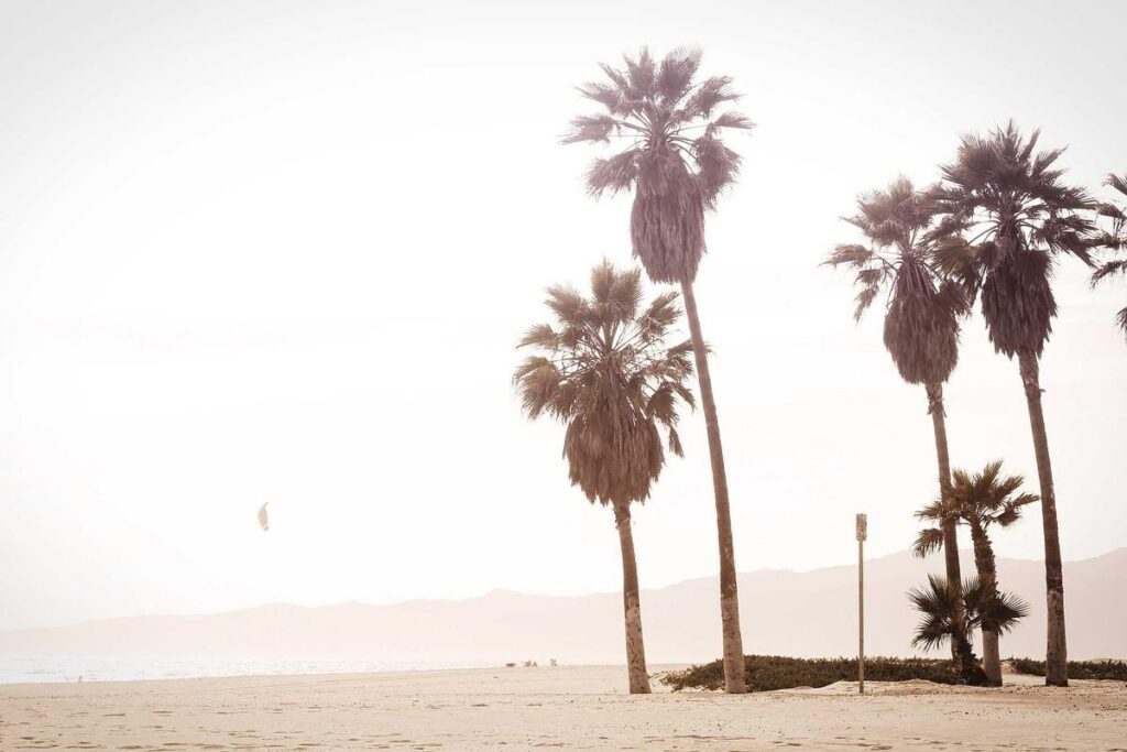 Fact Check: Does Exfoliating Daily Help Acne? Over-Exfoliation Damages Skin Barrier and Worsens Breakouts - Featured image