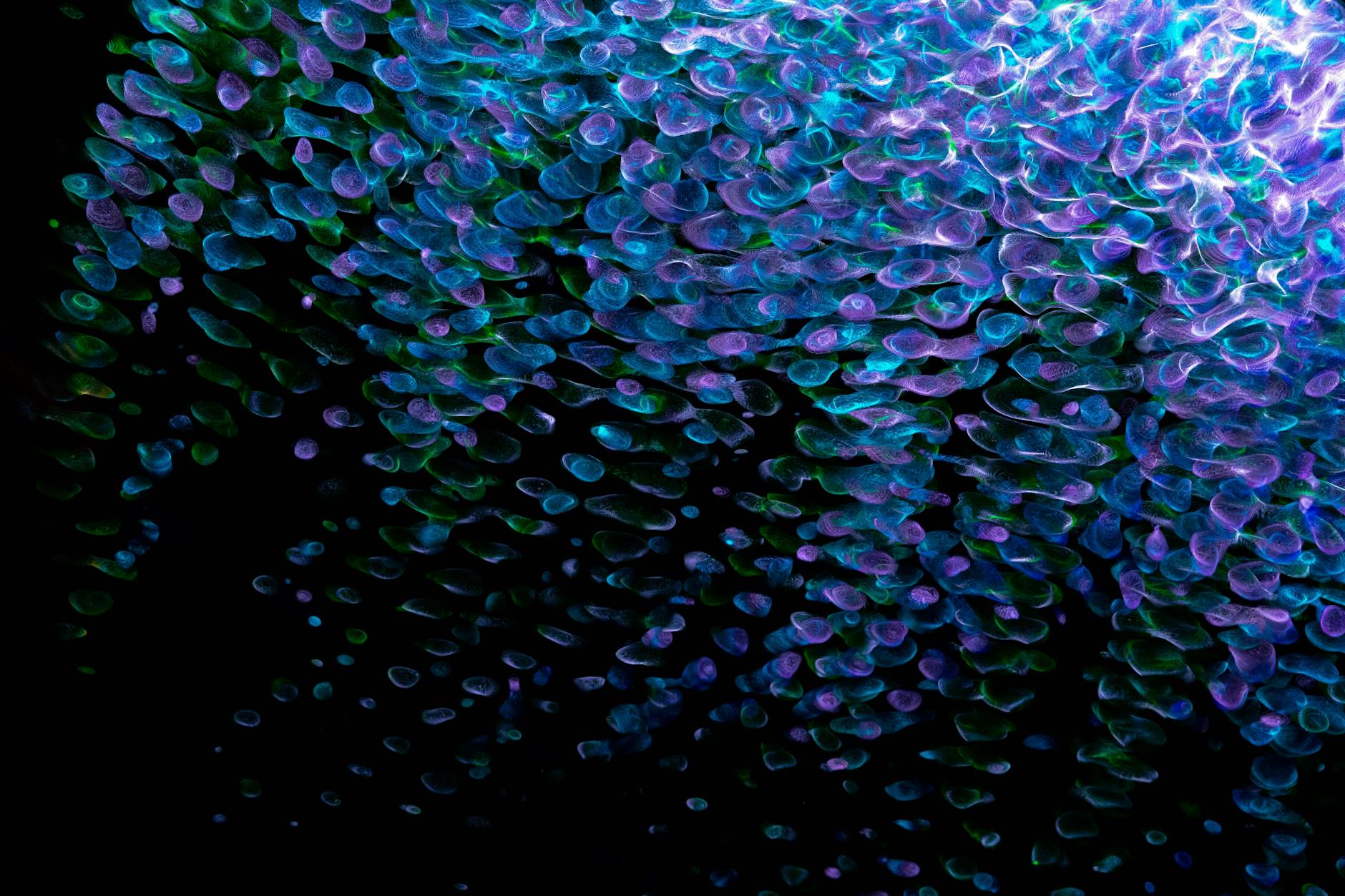 How 16S rRNA Sequencing Overcame the Limitations of Culture-Based Acne Research