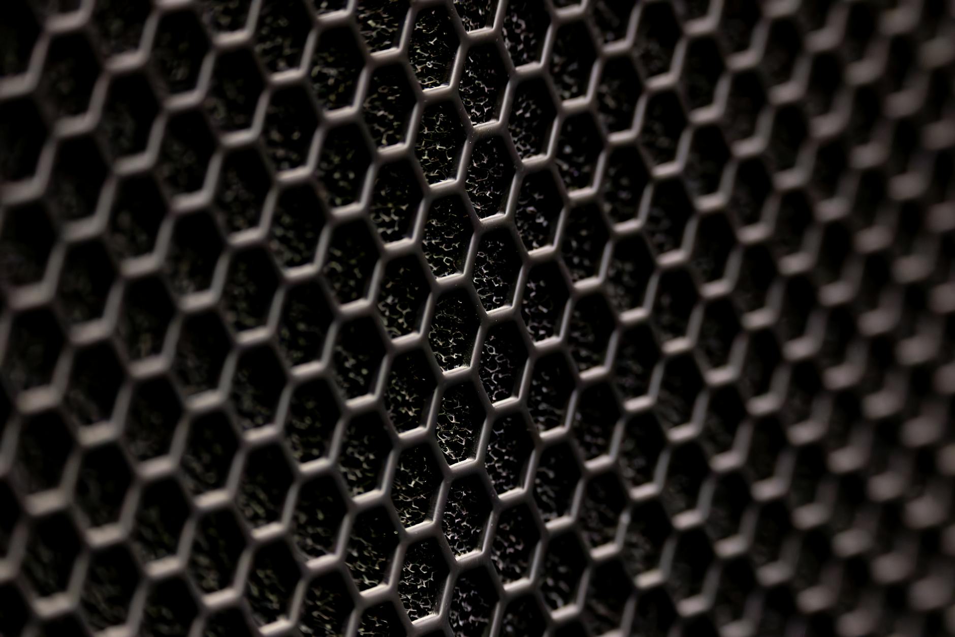 How Are Demodex Mites Connected to Skin Breakouts?