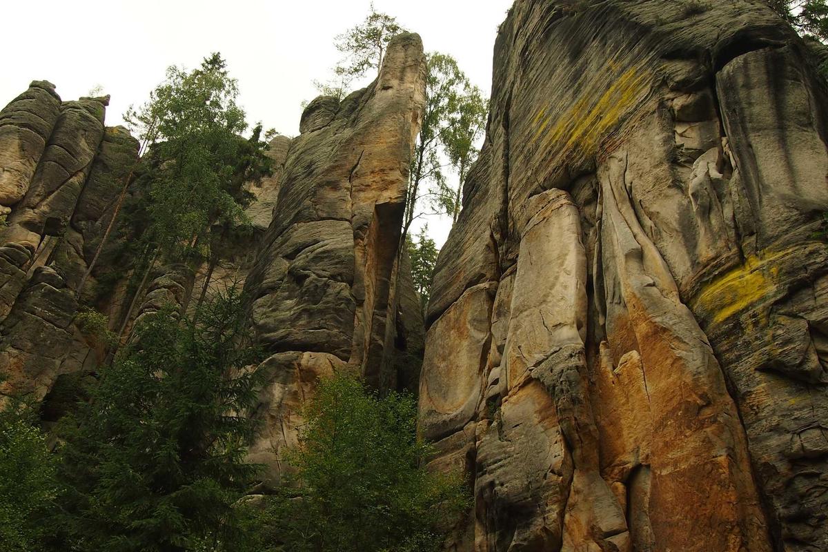 How Do AHA, BHA, and PHA Work Together to Fight Acne?