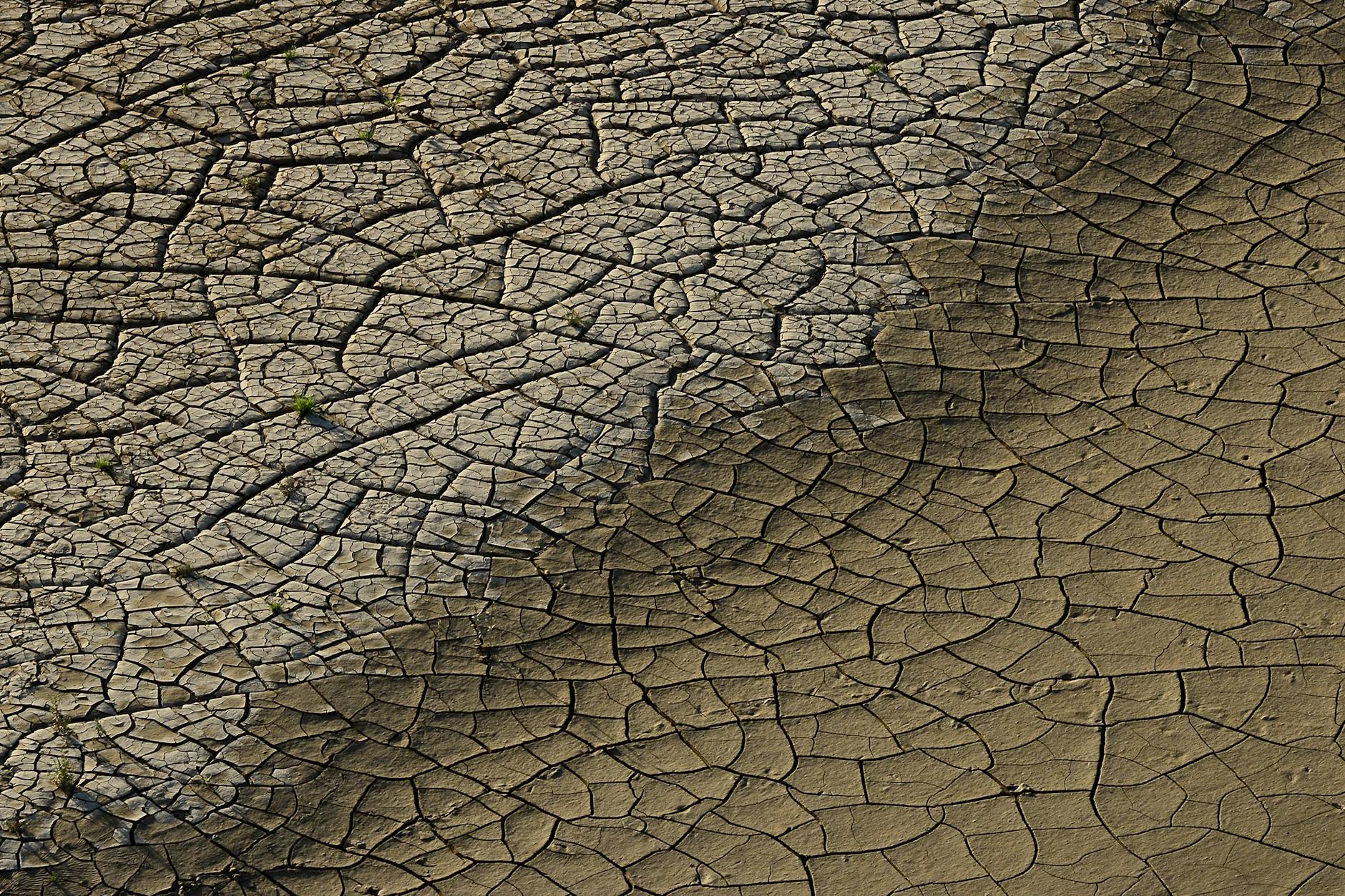 How Does Dehydration Shrink Your Skin and Emphasize Scars?