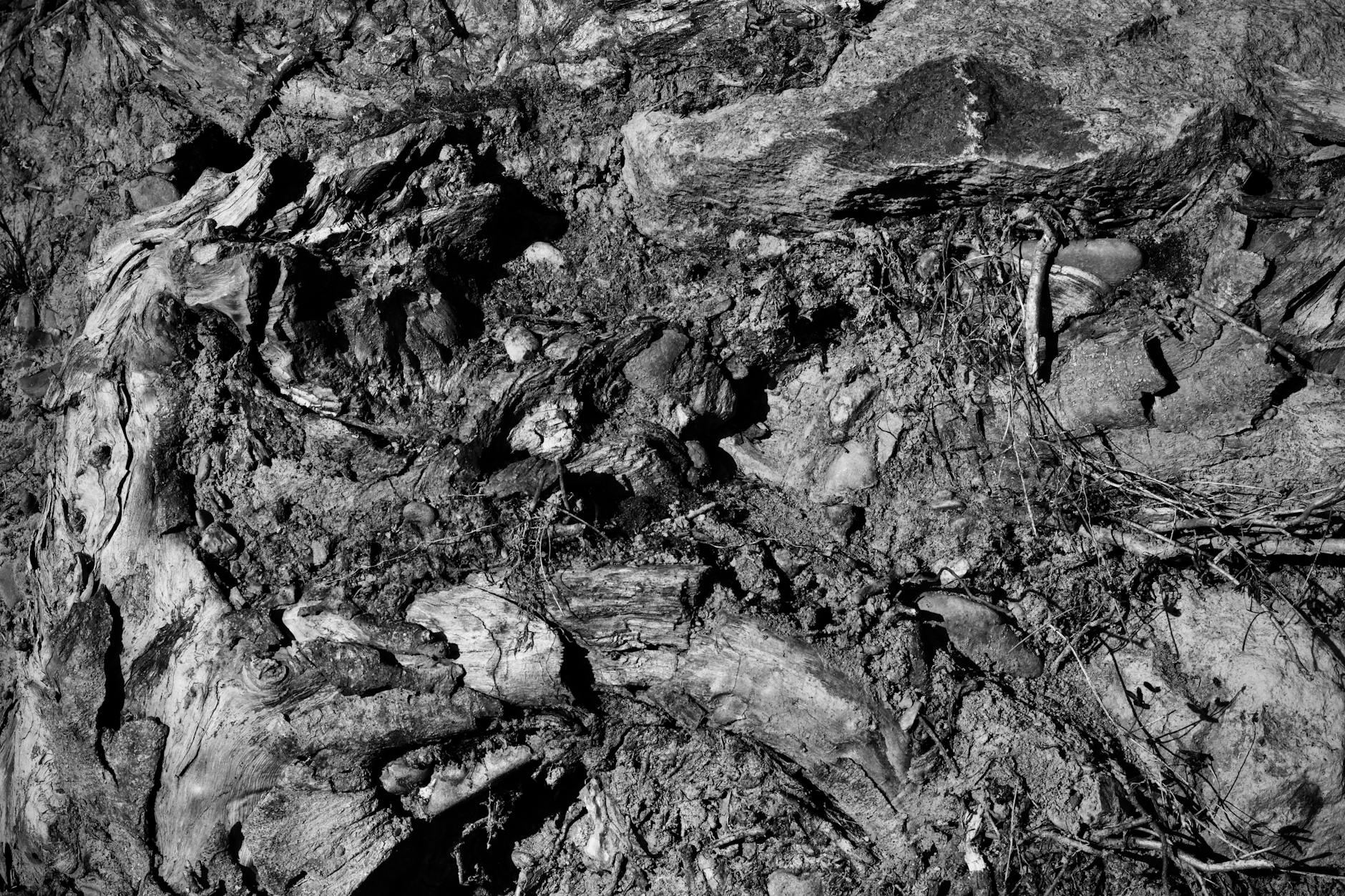 How Does Licorice Root Extract Reduce Acne Inflammation and Breakouts?