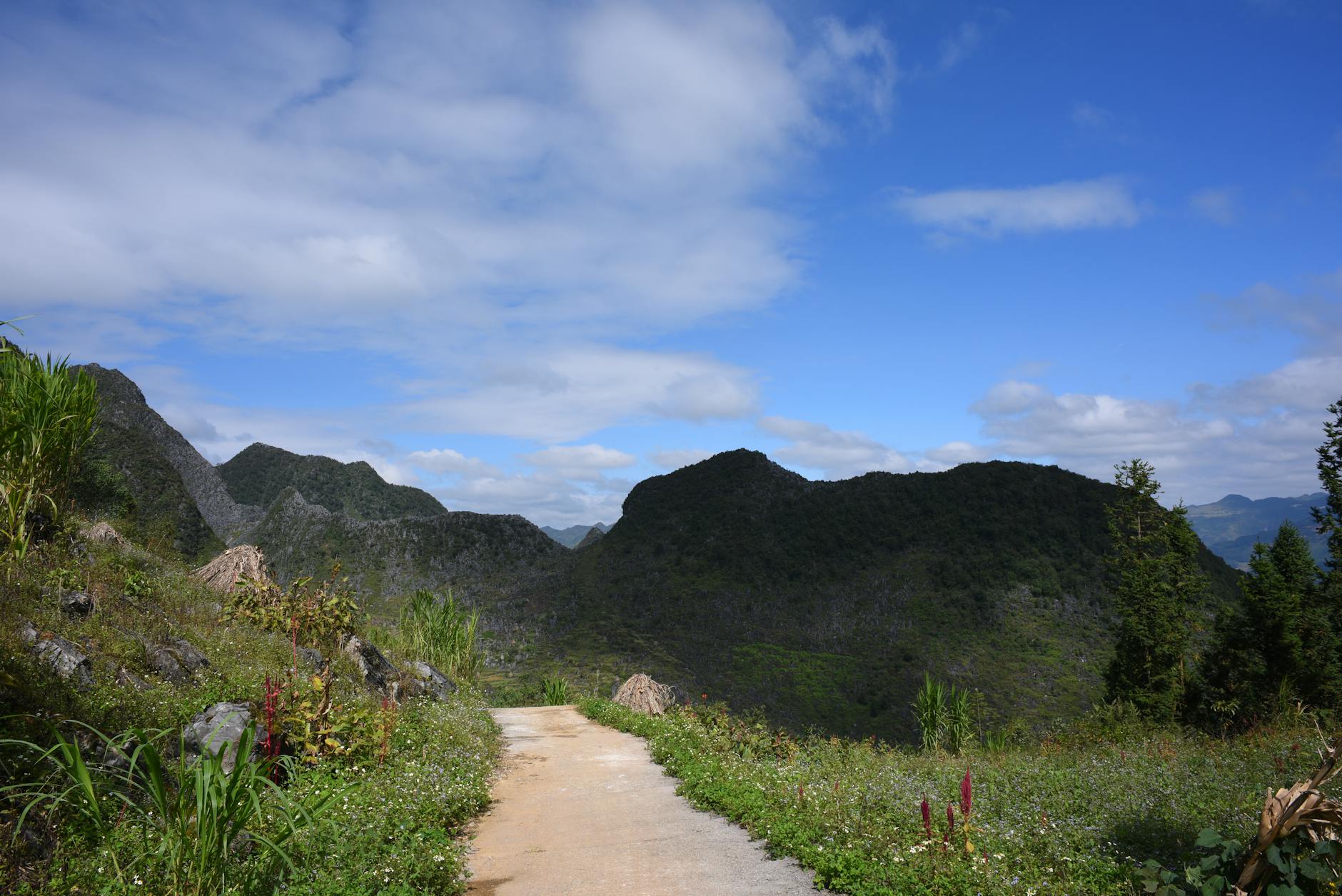 How Does Neutrogena's Evenly Clear Approach Adult Acne Differently?