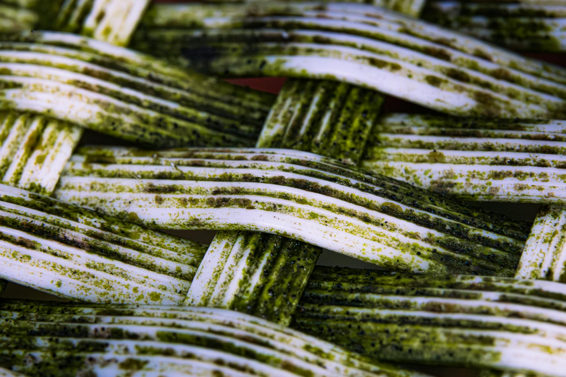 How Does Organic Acid Testing Measure the Gut-Acne Connection?