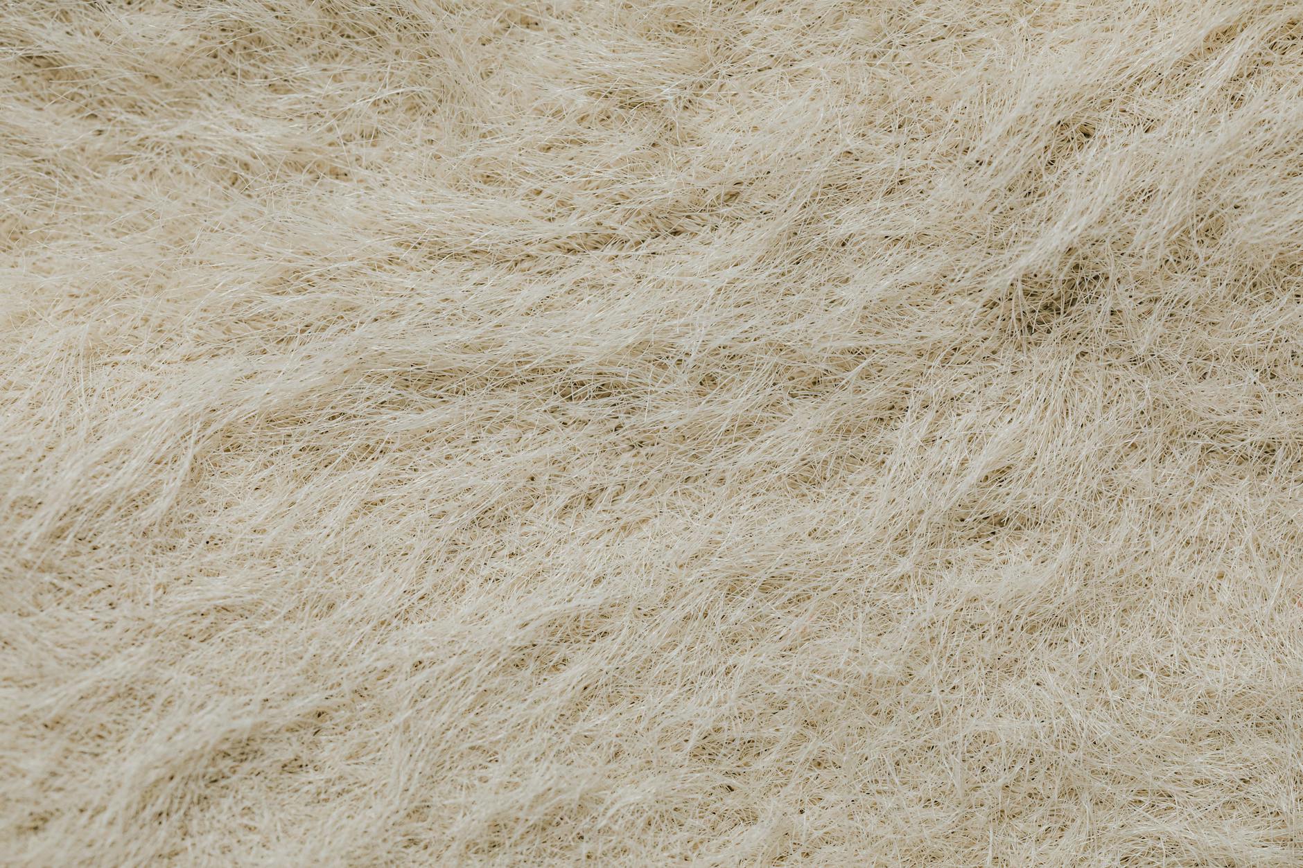 How Does the Collagen Type I/III Ratio Change Scar Structure?