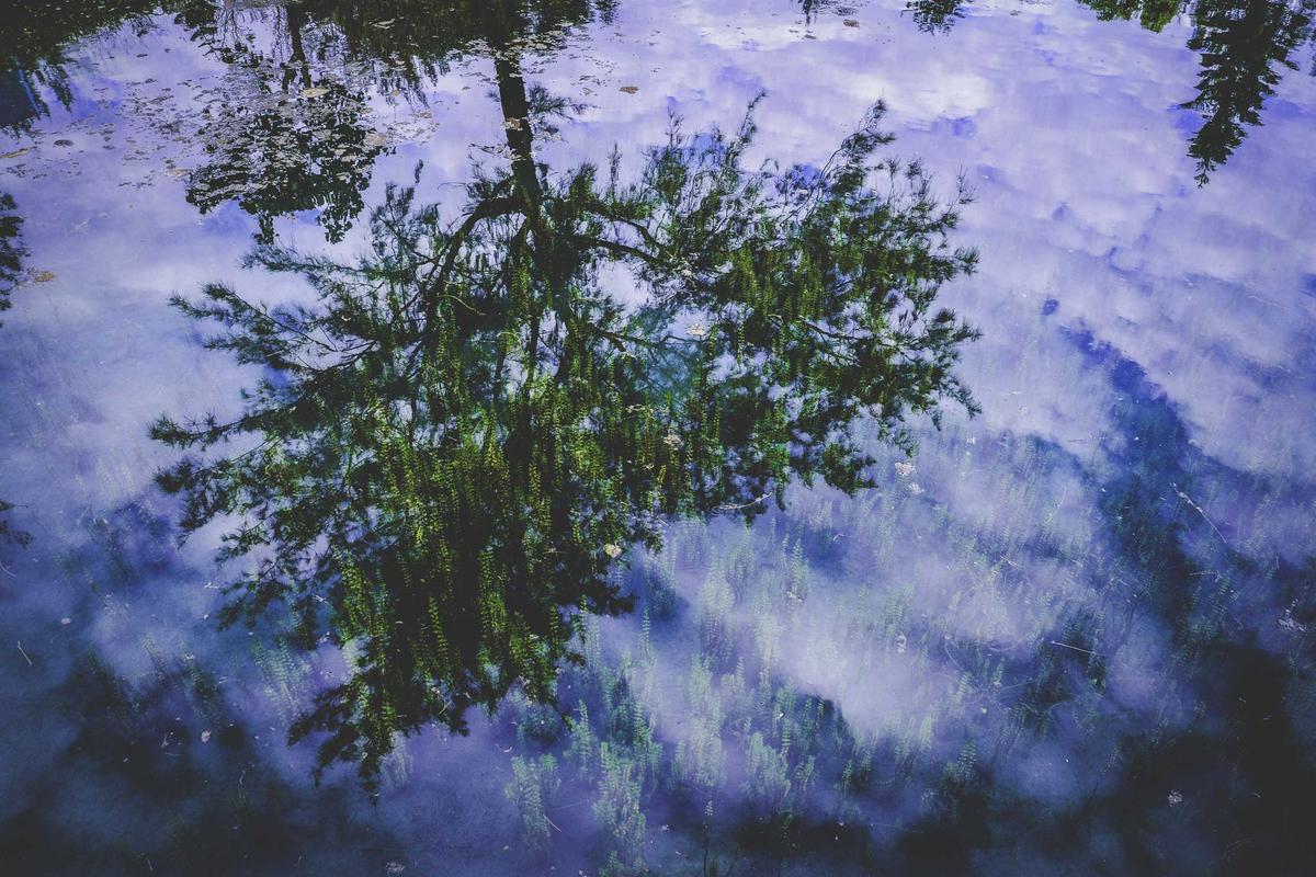 How Hydration Reduces Redness at the Cellular Level