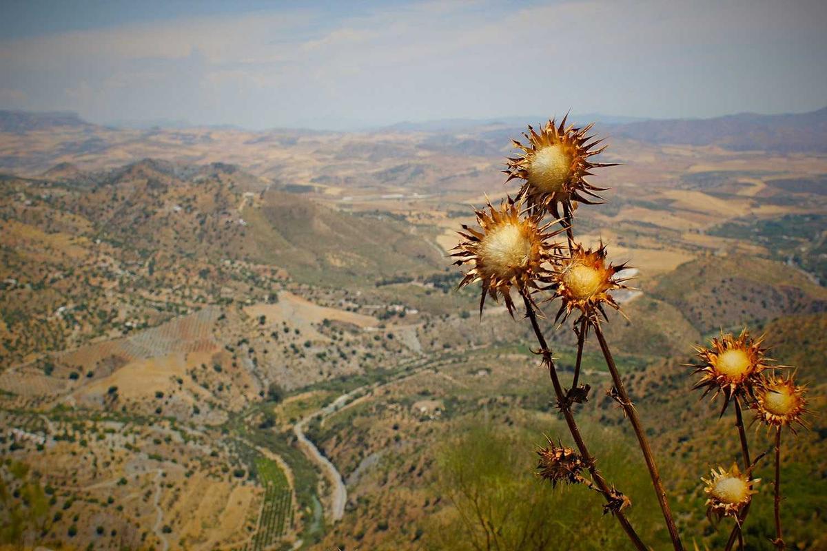 How Retinol and Niacinamide Work Differently for Acne