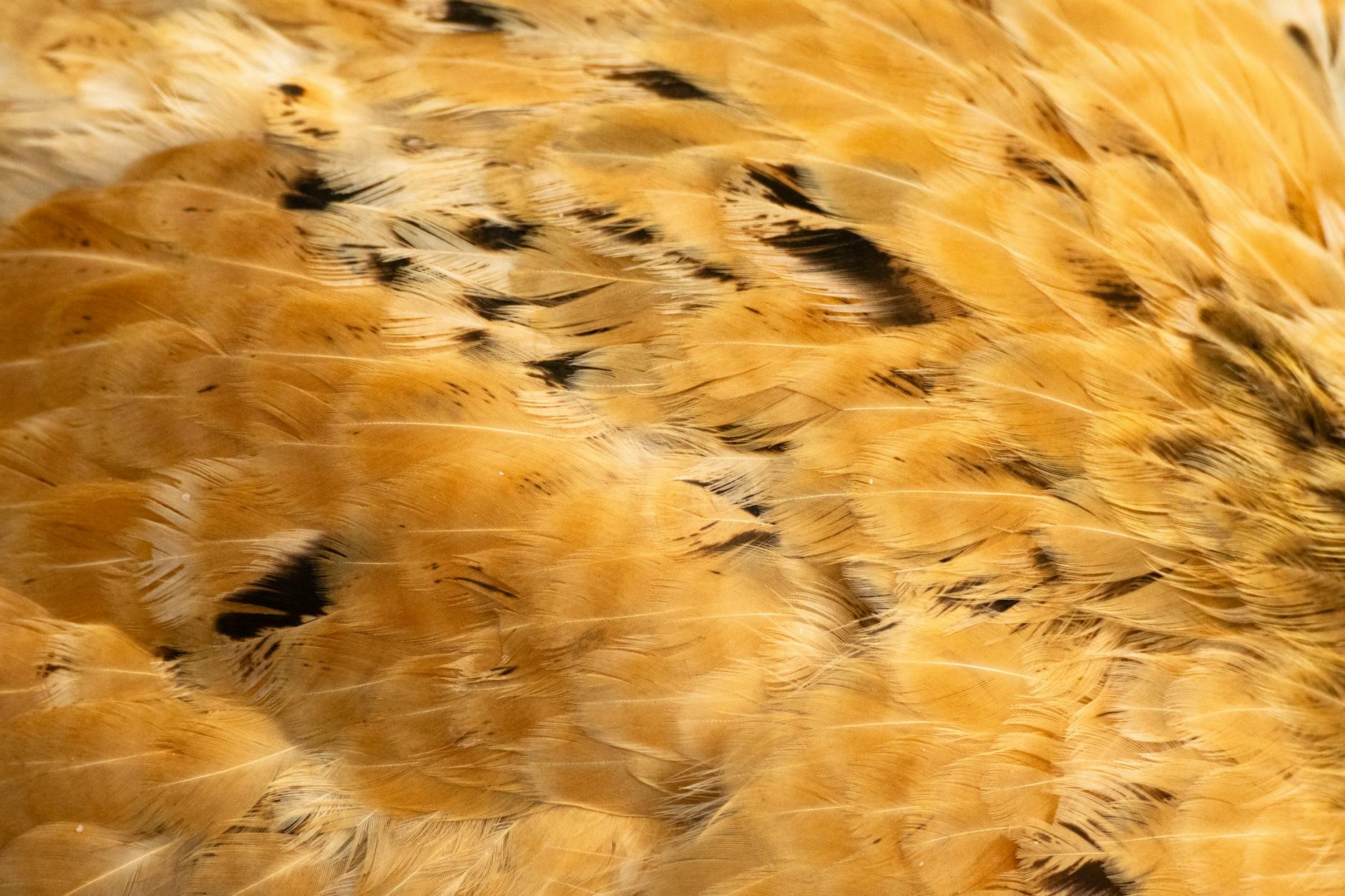 How the 1550 nm and 1927 nm Wavelengths Create Different Effects on Skin