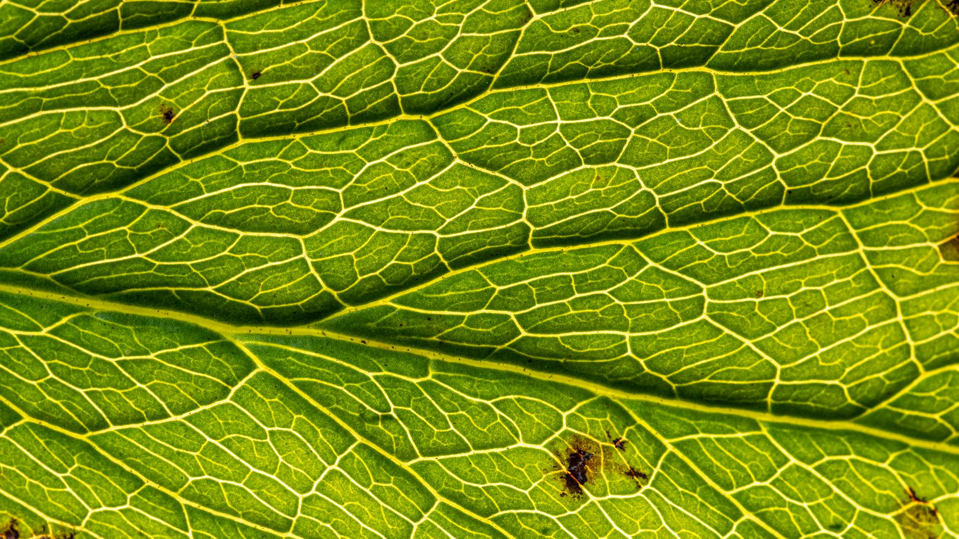 How Ultherapy's Design Works Against Acne Scar Treatment