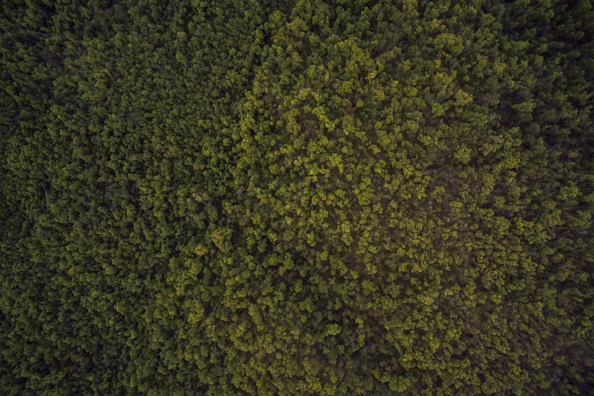 Is Zinc Oxide Non-Comedogenic and Safe for Acne-Prone Skin?