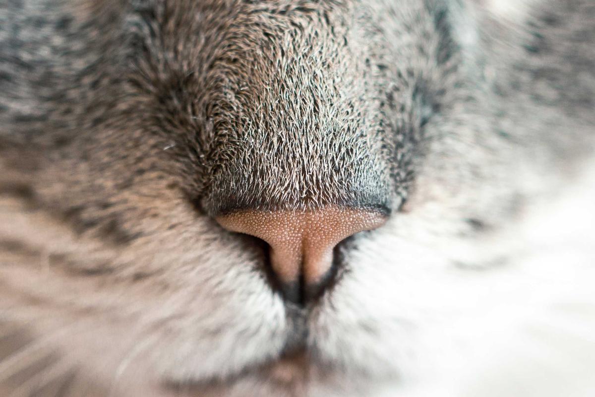 New Acne Treatments Aim to Improve Skin Health - Featured image