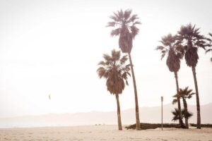 She Was Prescribed Spironolactone for Hormonal Acne...Her Skin Cleared in 3 Months for $15 a Month - Featured image