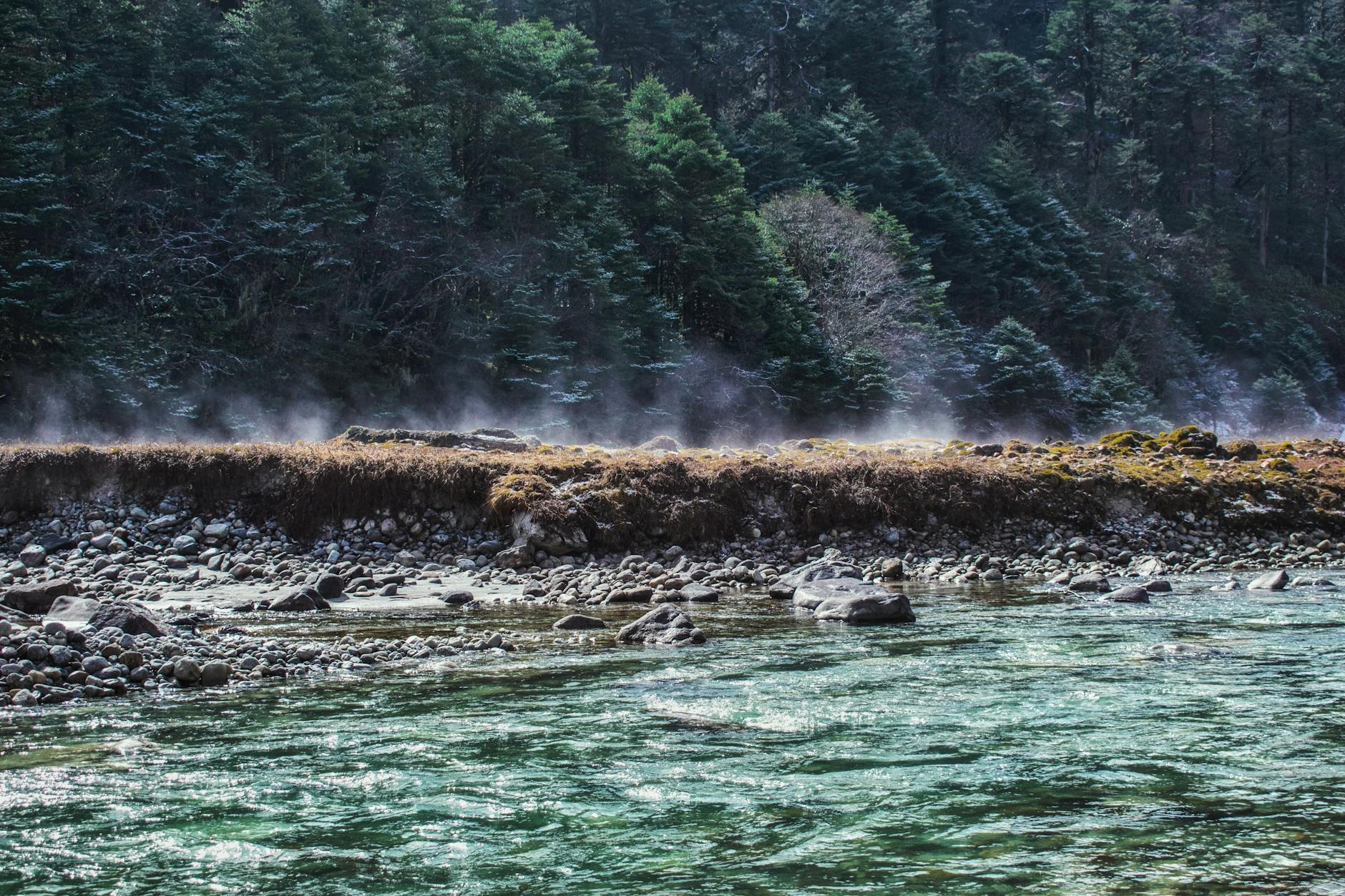 The Healing Response—Why Minimal Thermal Injury Equals Faster Recovery