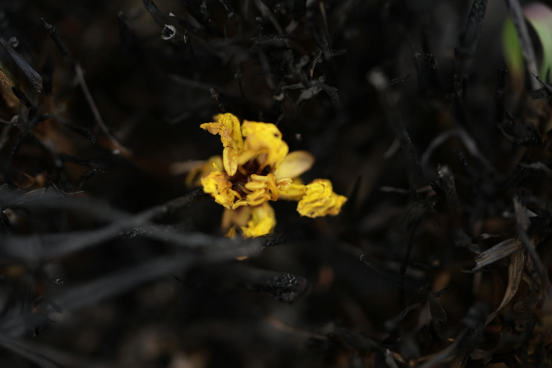 The Immediate Aftermath—What Your Skin Looks Like in the First 48 Hours