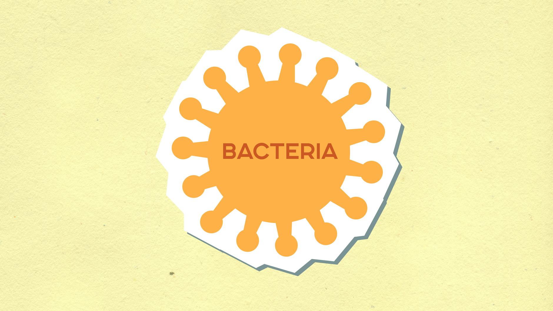 The pH Factor and Bacterial Growth Under Residue