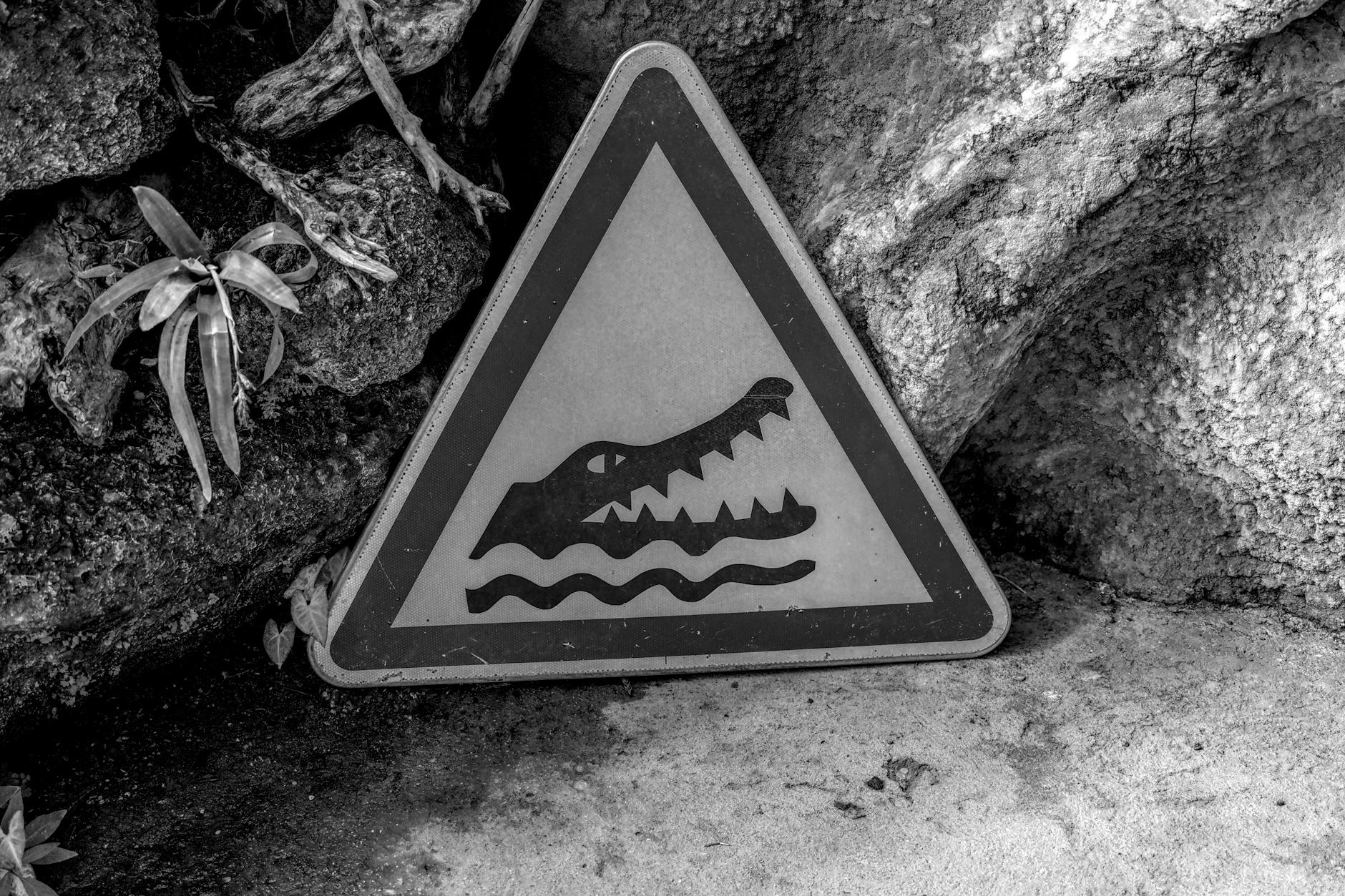 Warning Signs and Common Mistakes