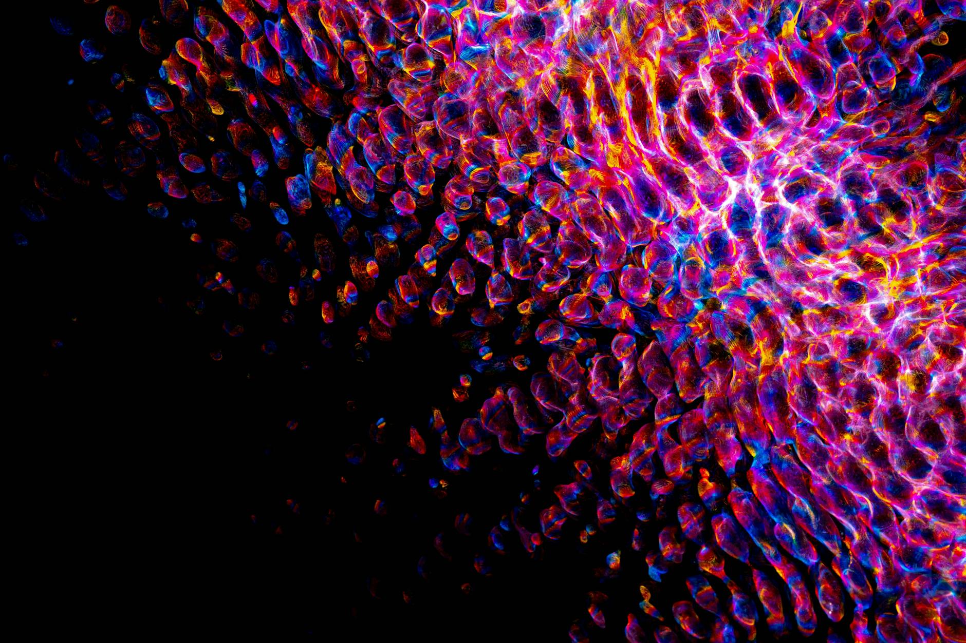 What ADSC-Exosome Combination Does for Fibroblast Activity in Scars - Featured image