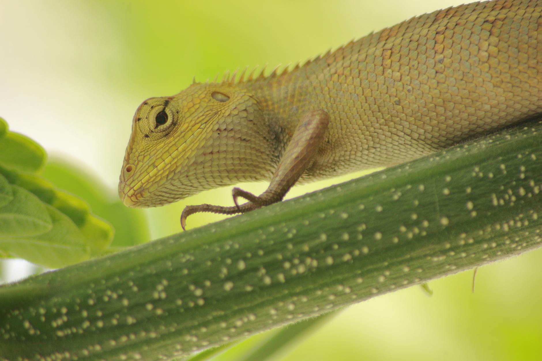 What Are Experts Saying About Acne Innovation and Treatment Evolution?