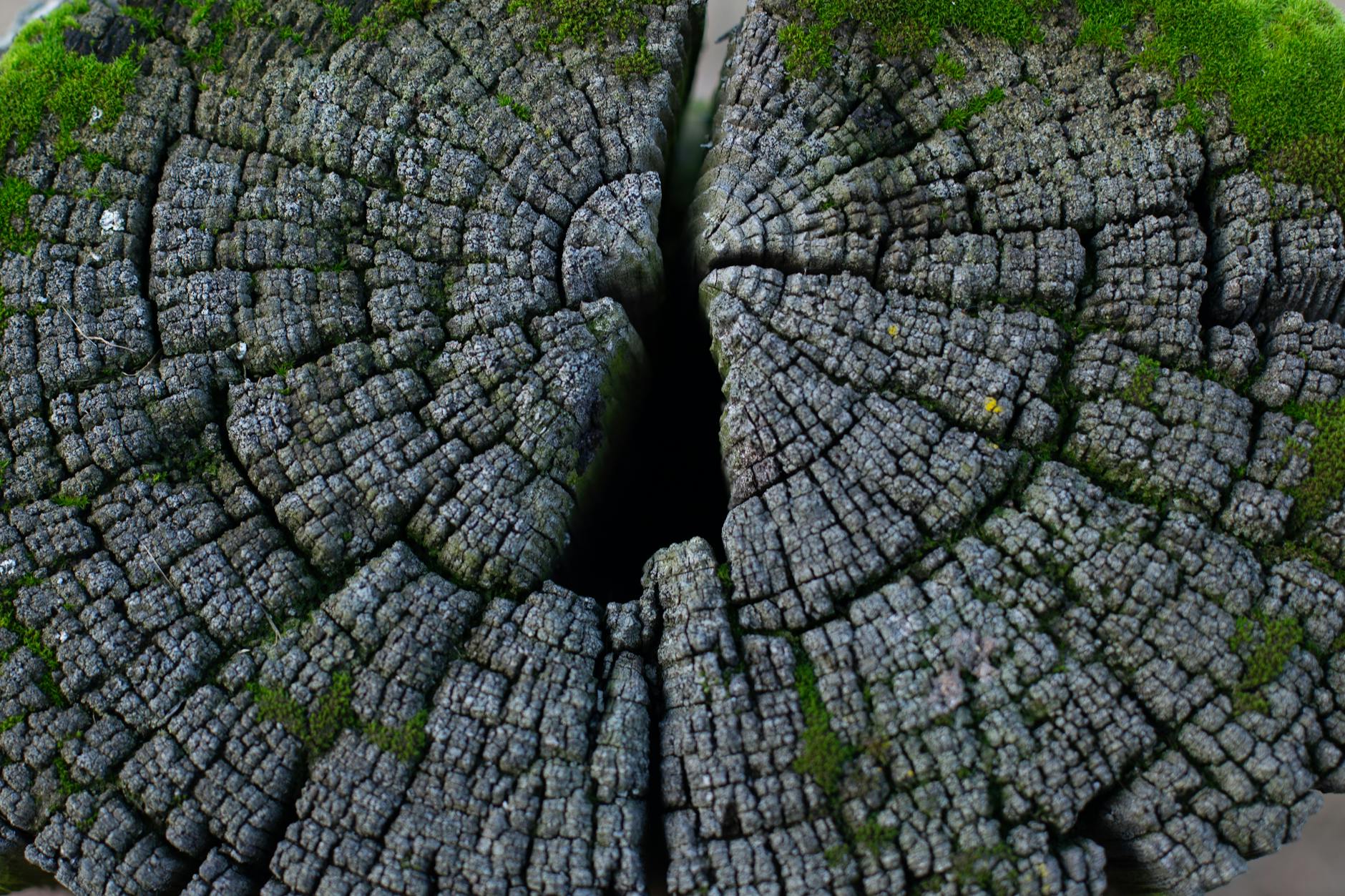 What Are the Core Training Requirements for Esthetics-Based Acne Specialist Certification?