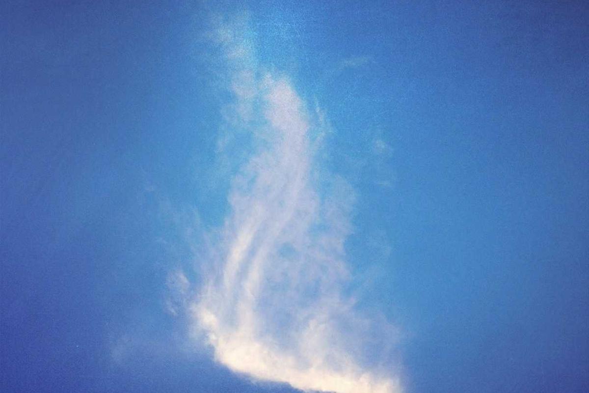 Illustration for What Birth Control Pills Actually Clear Acne