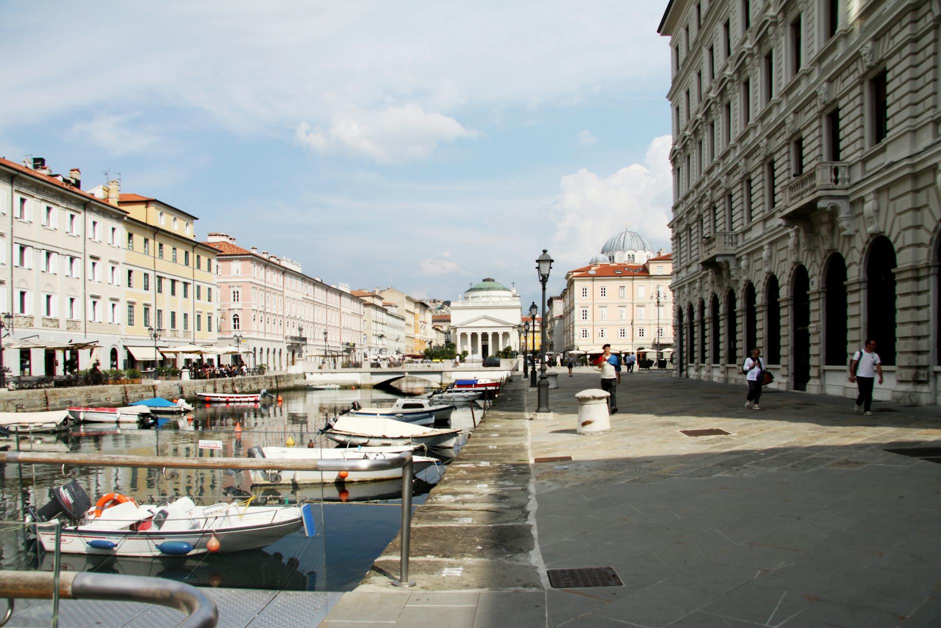 What Dong Quai Actually Contains—And What That Might Do for Skin