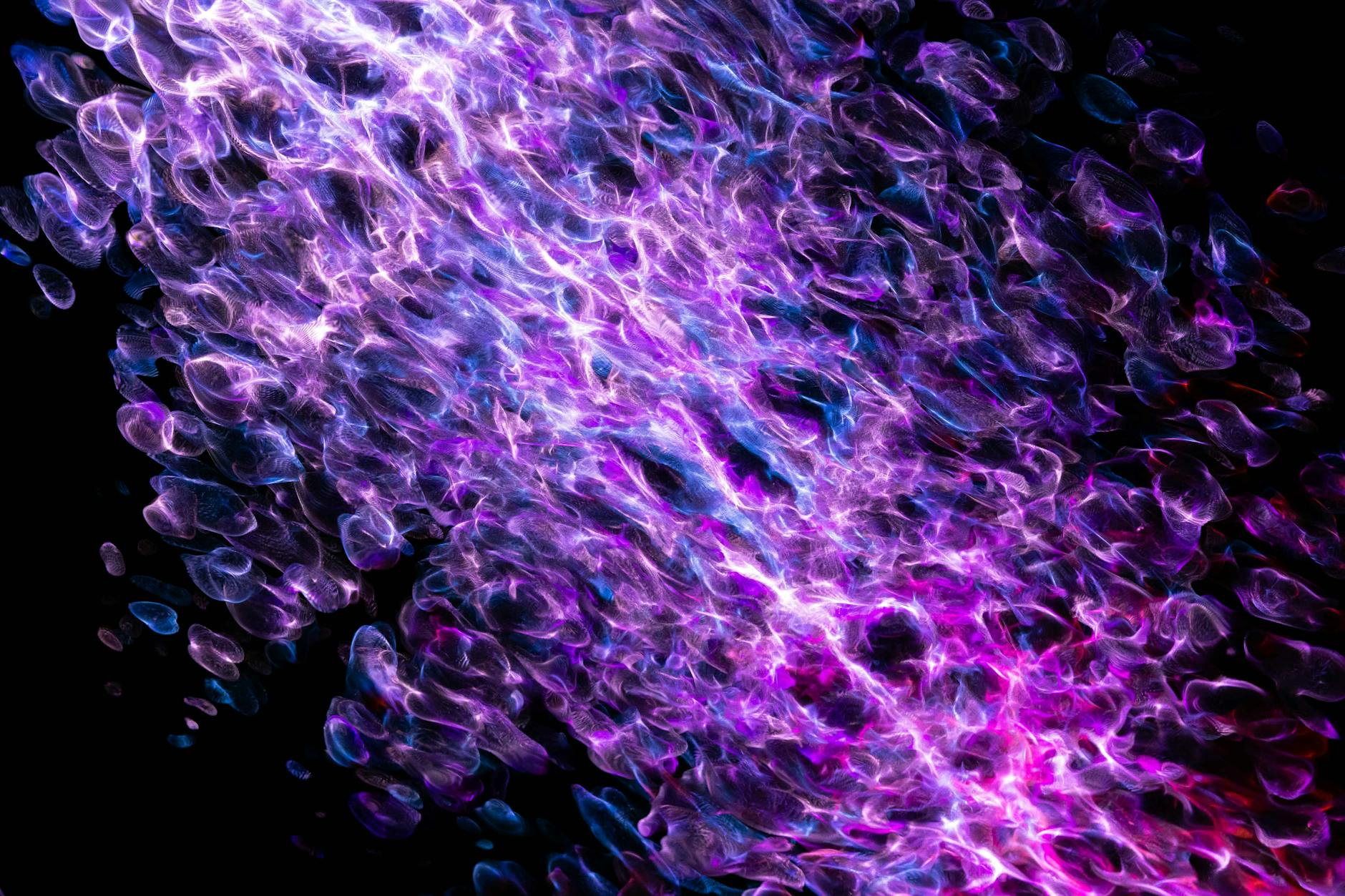 What ExoFlo IV Exosomes Do for Systemic Inflammation and Skin - Featured image
