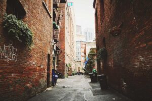 What Ingredients to Look for in Acne Safe Moisturizers - Featured image