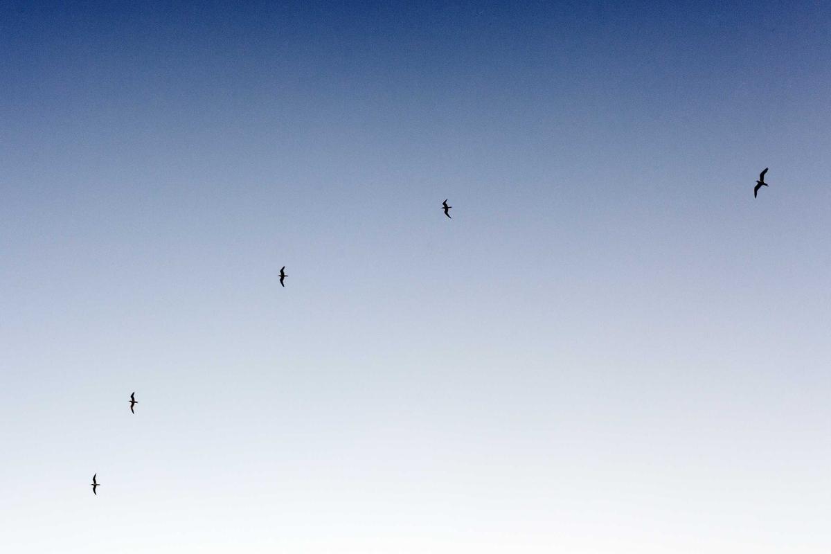 What is Acne Cosmetica and Does Makeup Really Cause Breakouts?