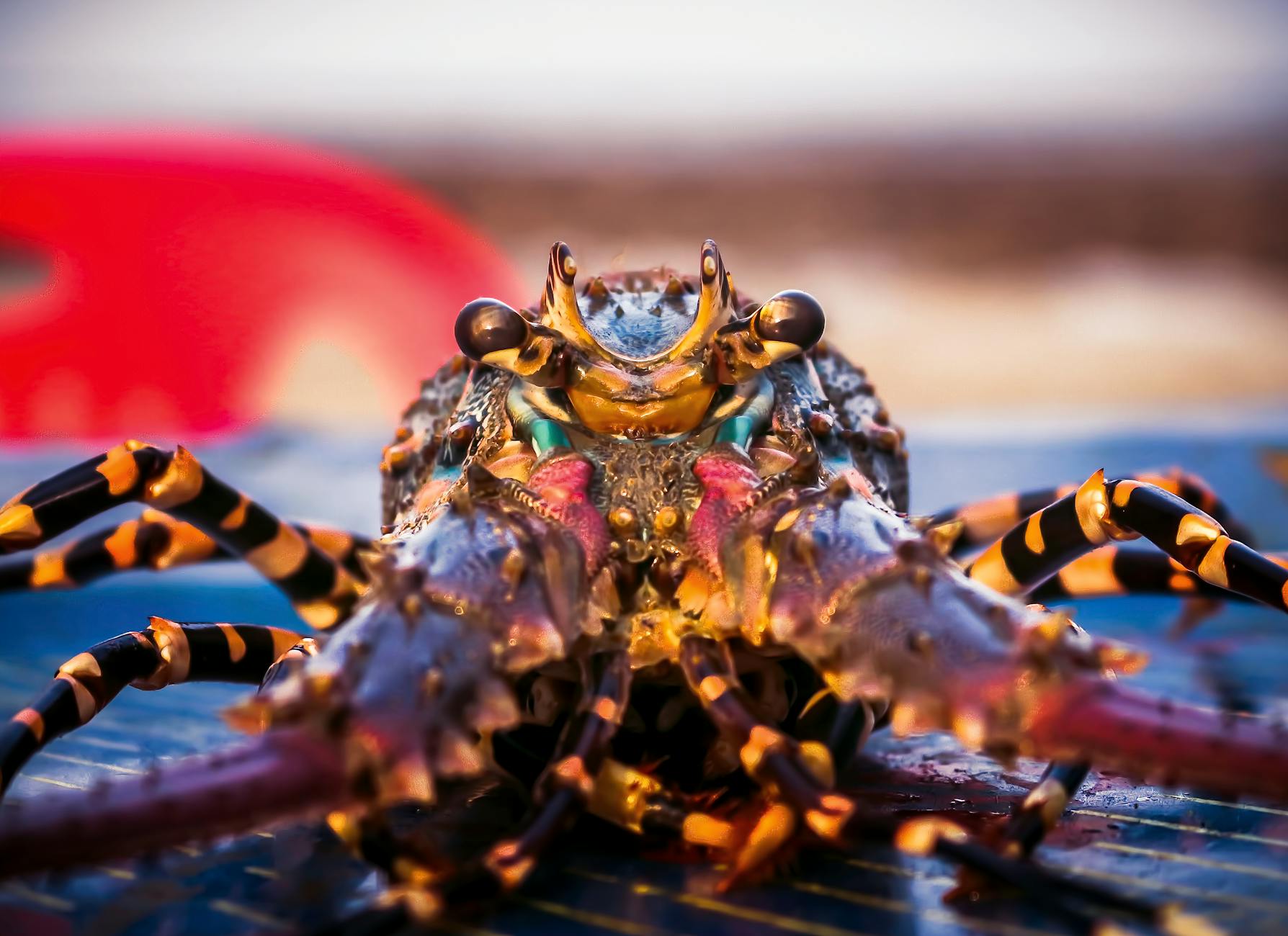 What Is Hard Water and Why Does It Cause Breakouts?