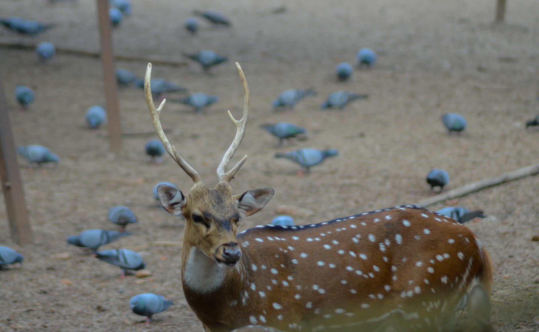 What Is the Gut-Skin Axis and Why It Matters for Acne - Featured image