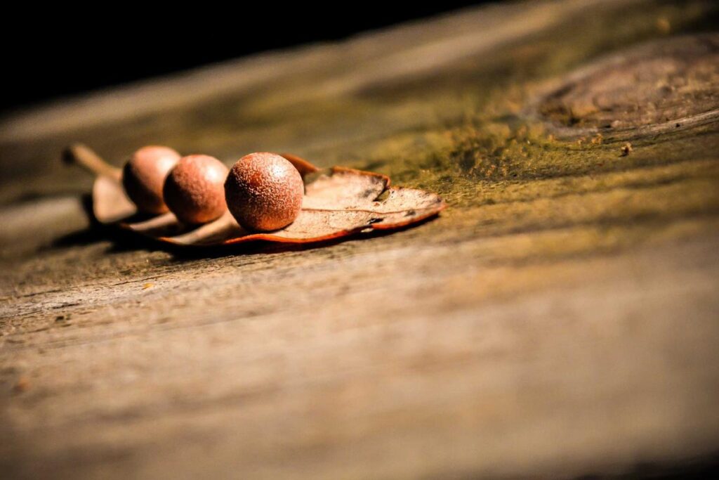 Image for What PIE Is and Why It's Different from a Scar