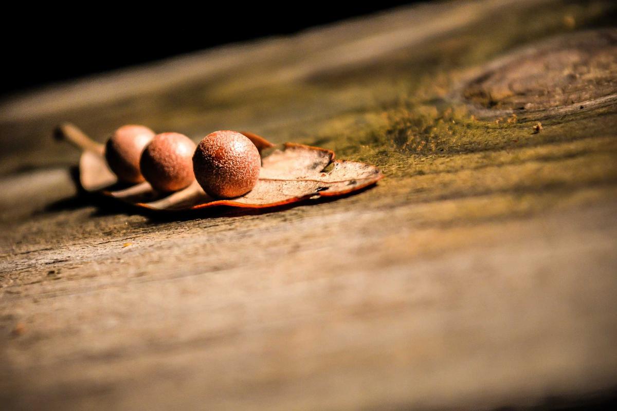 Illustration for What PIE Is and Why It's Different from a Scar