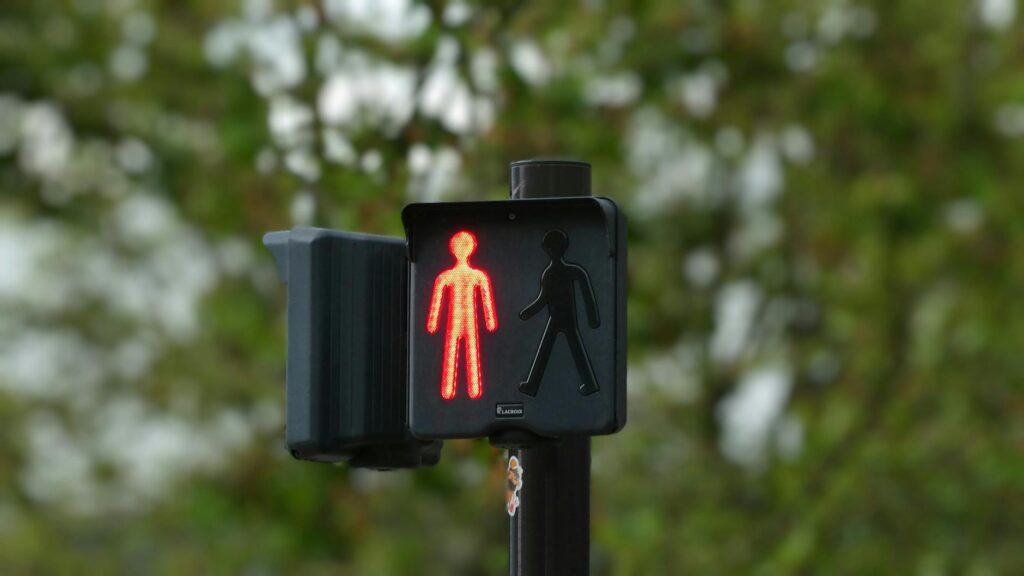 What Wnt Signaling Inhibition Does for Sebocyte Activity in Acne - Featured image