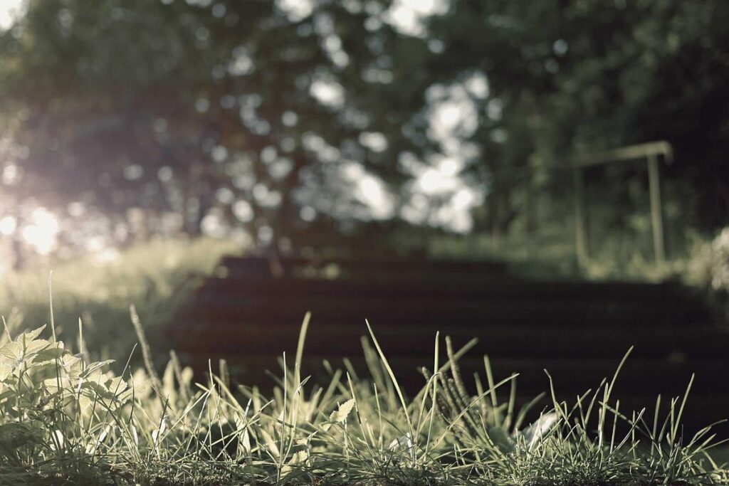 Image for Why Accutane Requires Two Forms of Birth Control