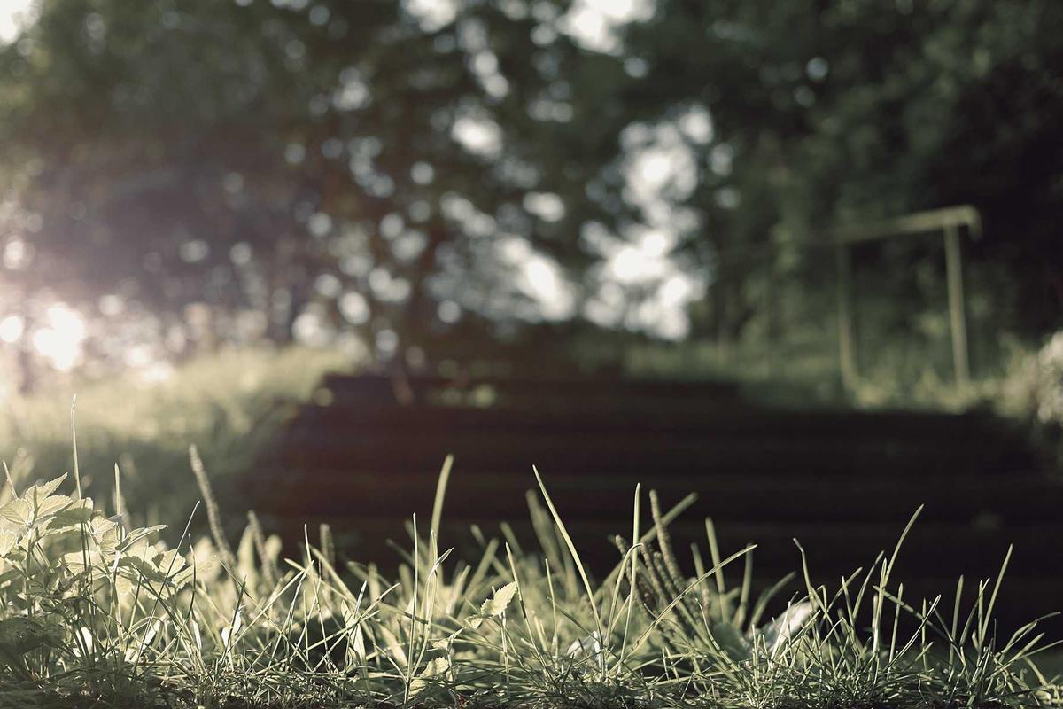 Illustration for Why Accutane Requires Two Forms of Birth Control