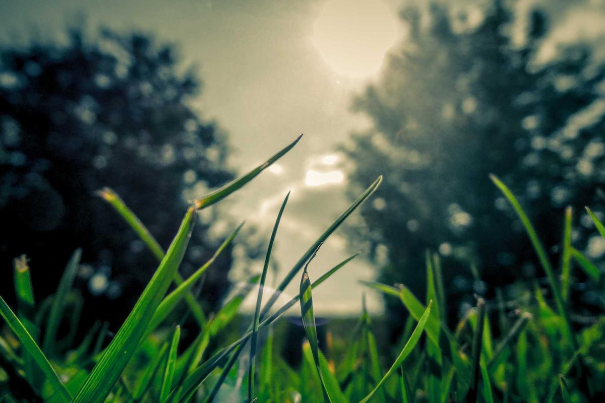 Why Cystic Acne Is Especially Dangerous to Pop